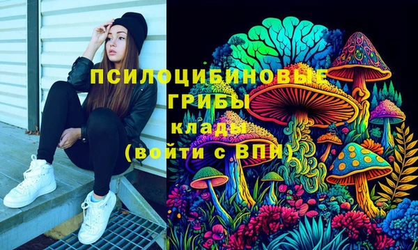 спайс Абаза