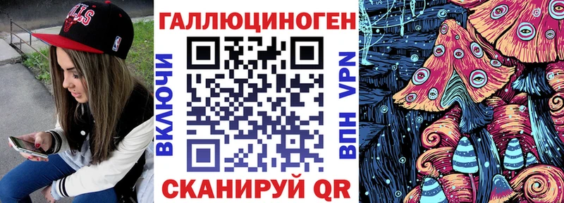 купить наркотики сайты  Иваново  Псилоцибиновые грибы Cubensis 